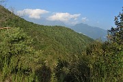 59 Vista sulla splendida abetaia di pini mughi ad alto fusto del Monte di Bracca